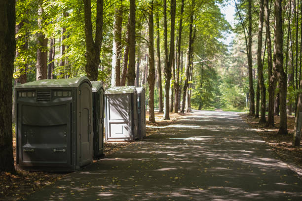 Best Local porta potty services  in Litchfield, MN